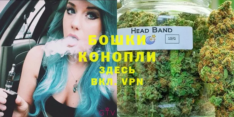 Бошки Шишки THC 21%  Дмитровск 